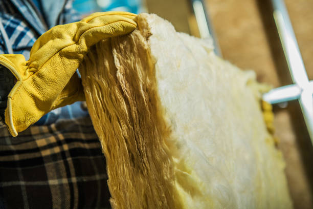 Best Insulation Installation Services in Falling Waters, WV